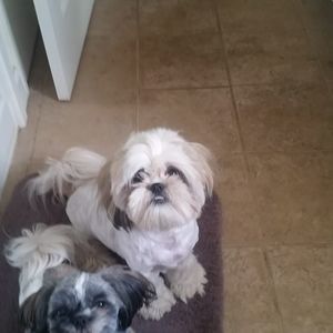 Meet your Posher, Angela